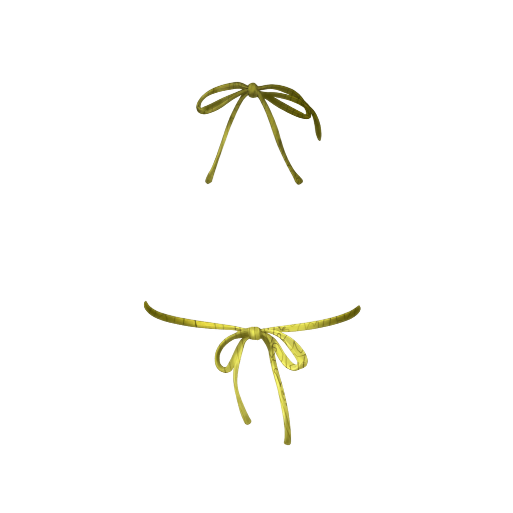 PALM Top