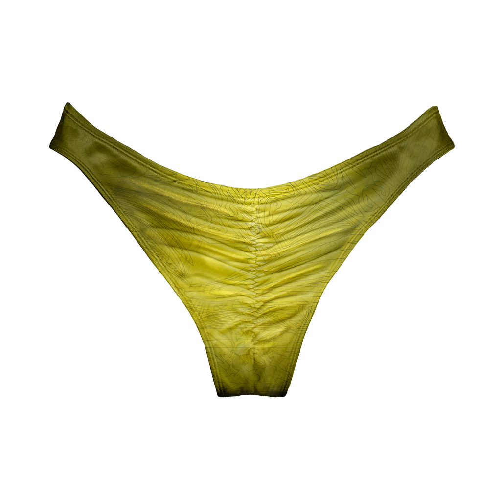 PALM Tanga