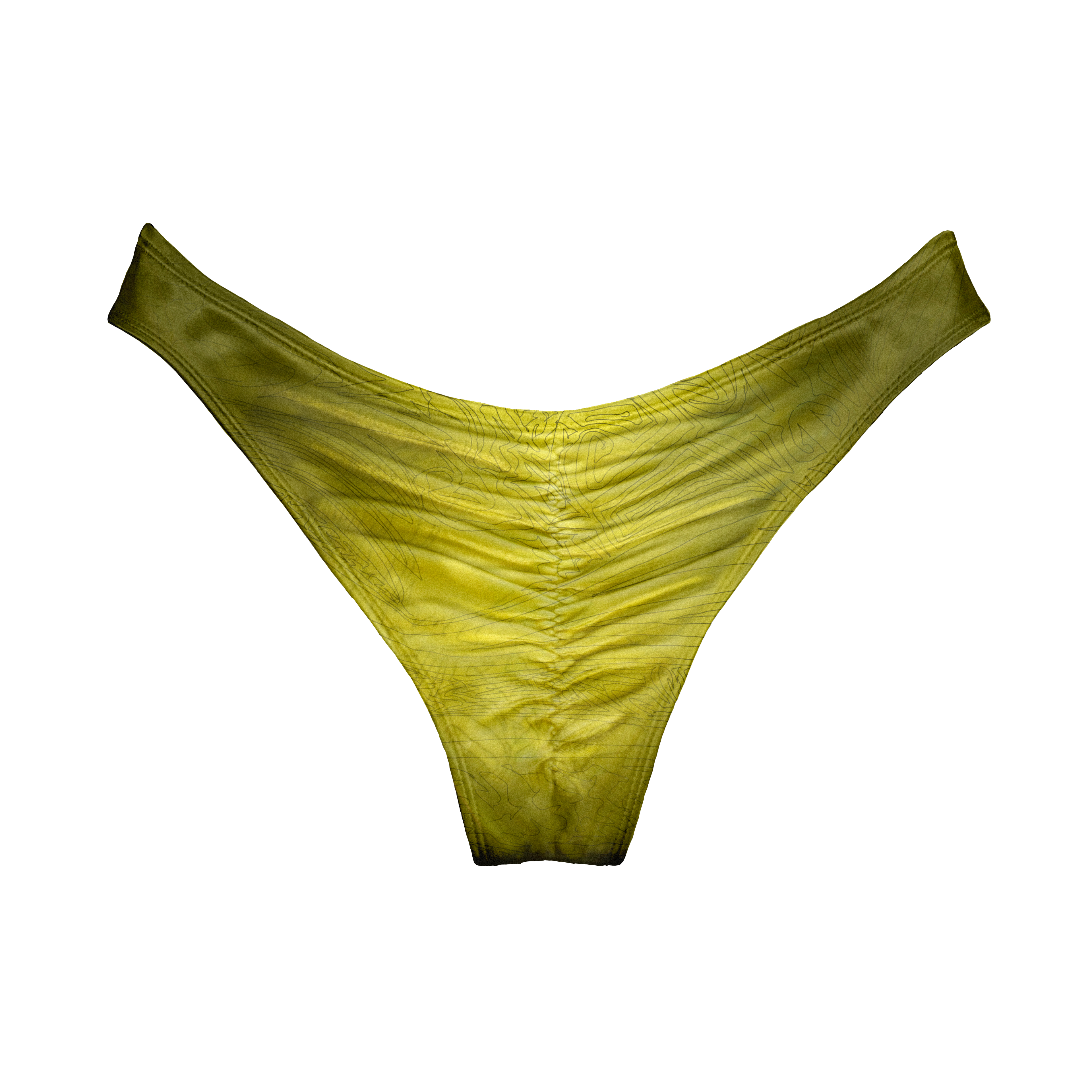 PALM Tanga