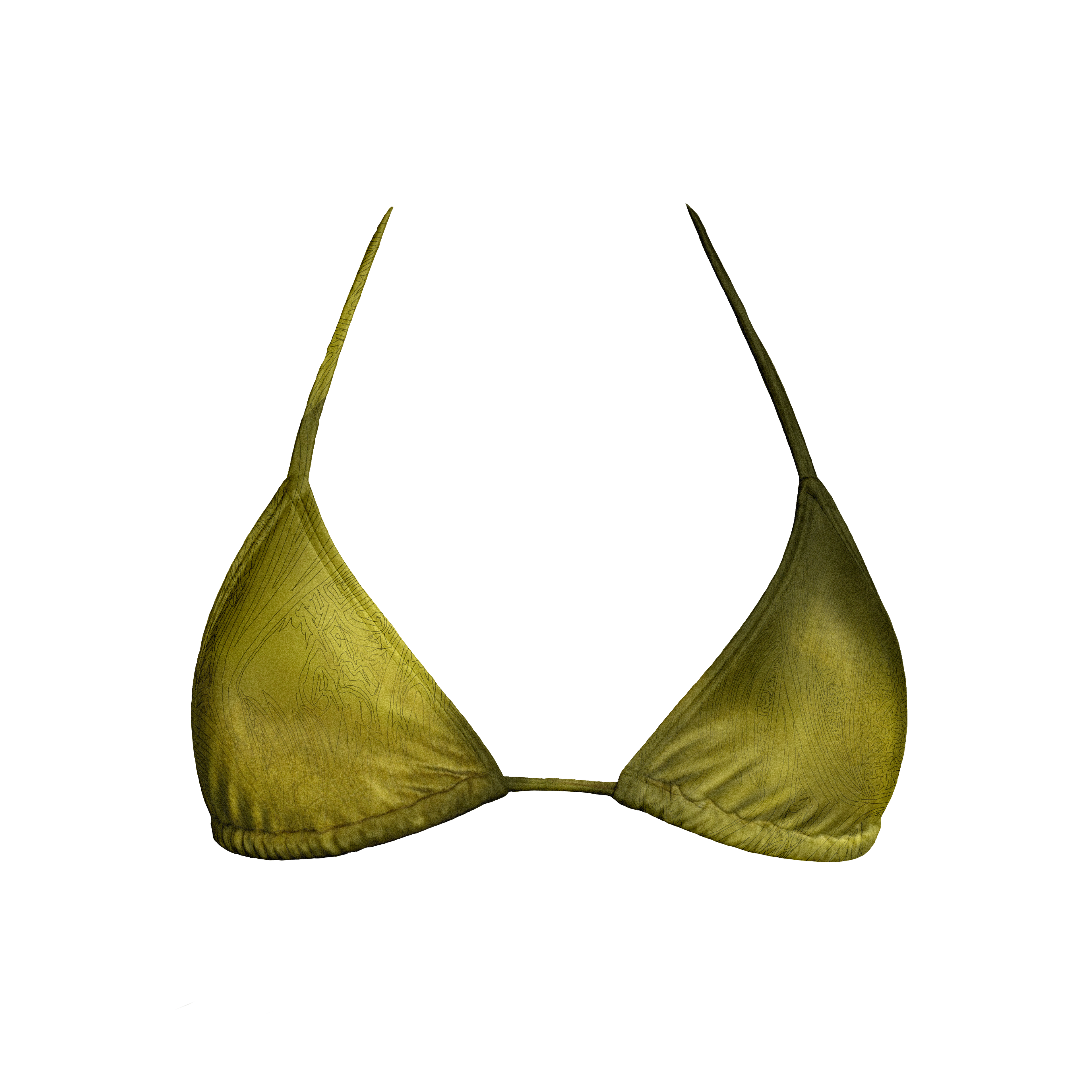 PALM Top